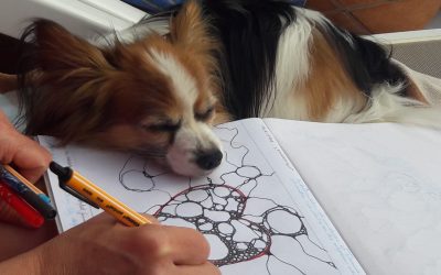 Blockaden beim Hund lösen